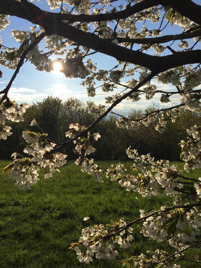 Santa Maria Rocca Happy Hill - Appartamento Quercia - Natura E Relax מראה חיצוני תמונה